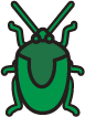 Collection image for: カメムシ