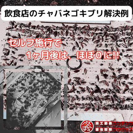 ベクトロンSP 115ml 【送料無料】　ゴキブリ・トコジラミ防除