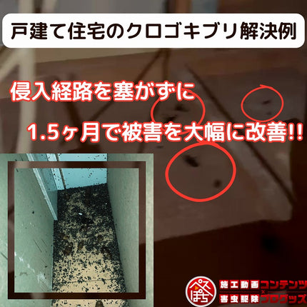 ベクトロンSP 115ml 【送料無料】　ゴキブリ・トコジラミ防除