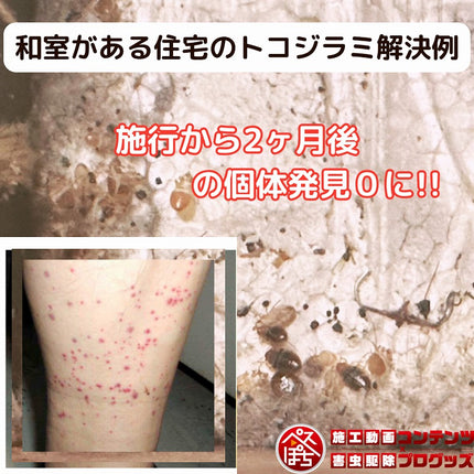 ベクトロンSP 115ml 【送料無料】　ゴキブリ・トコジラミ防除