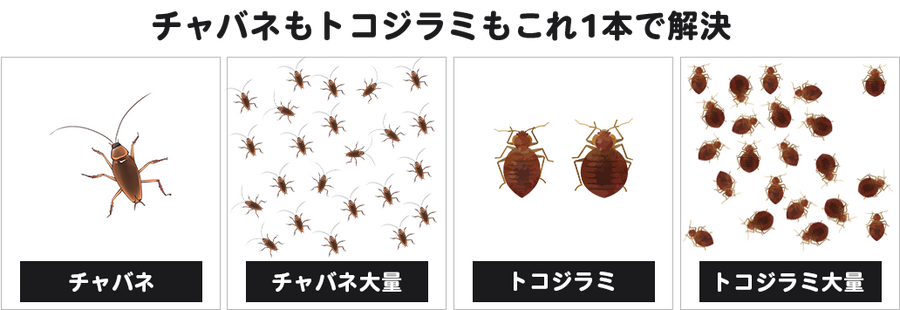 Image list