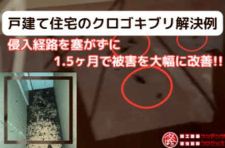 Image list