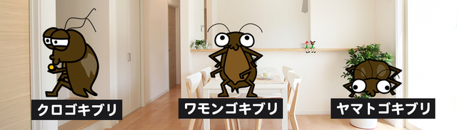 <h2>クロゴキブリ・ワモンゴキブリ・ヤマトゴキブリの施工方法</h2>