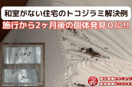 Image list