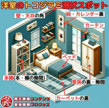 Image list