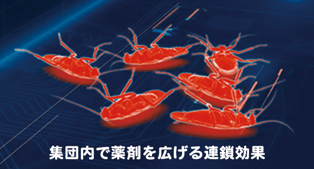 Image list
